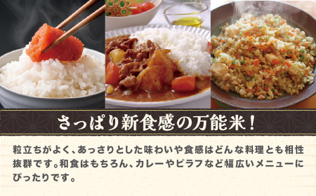 令和7年産 新米 精米 雪若丸 15kg 5kg×3袋 配送時期選べる 1月上旬~3月下旬発送 2025年産 米 お米 国産 山形県 尾花沢市 ko-ywsxa15