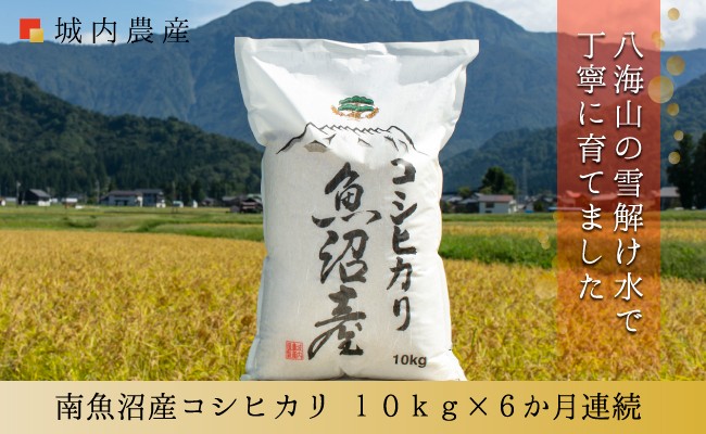 
                  【令和７年産】【お米定期便/全６回】南魚沼産コシヒカリ 白米１０ｋｇ＜５割減農薬栽培米＞城内農産
                