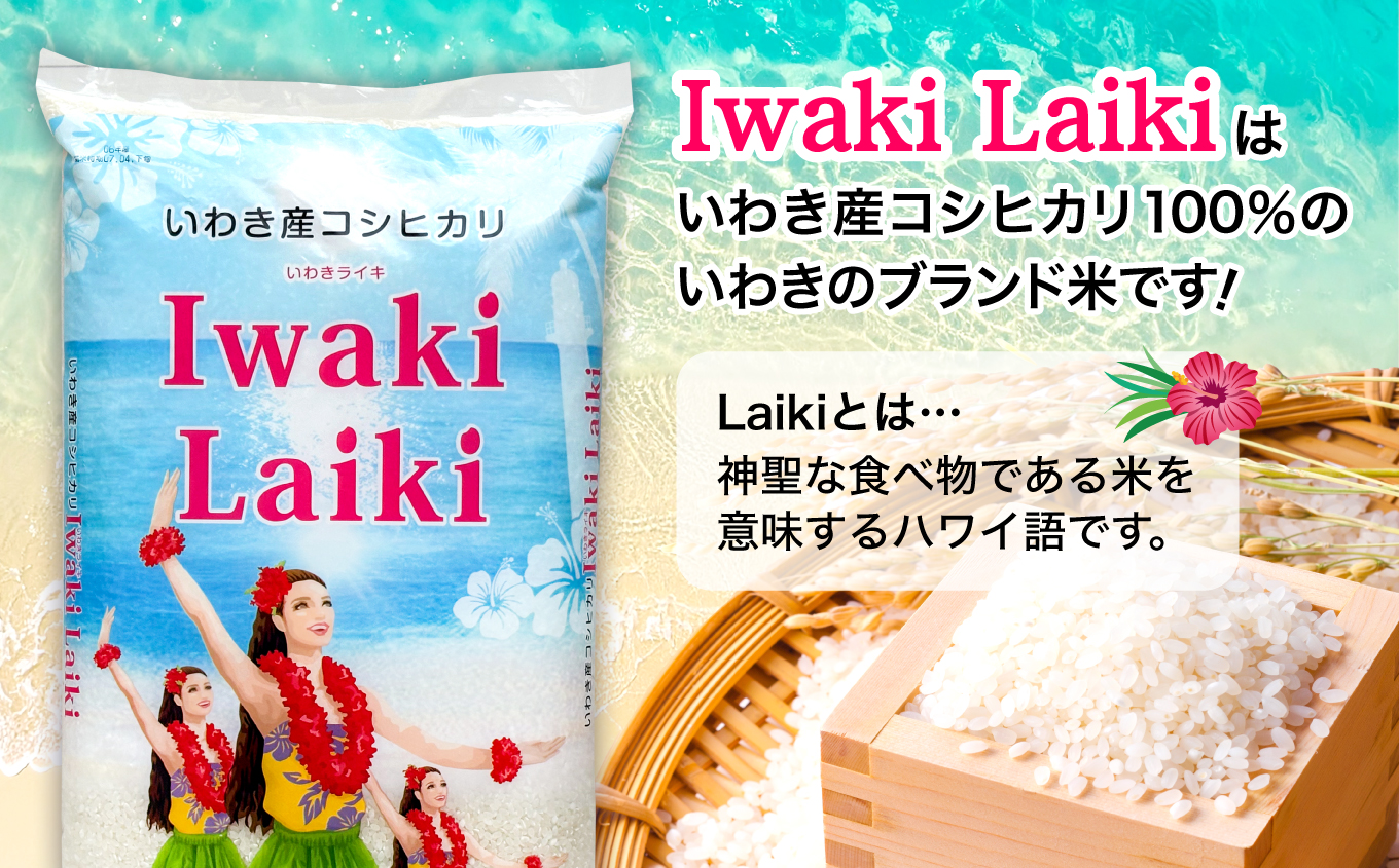 Iwaki Laiki いわき産 コシヒカリ 10kg（5kg×2袋） FU004-10kg-r6