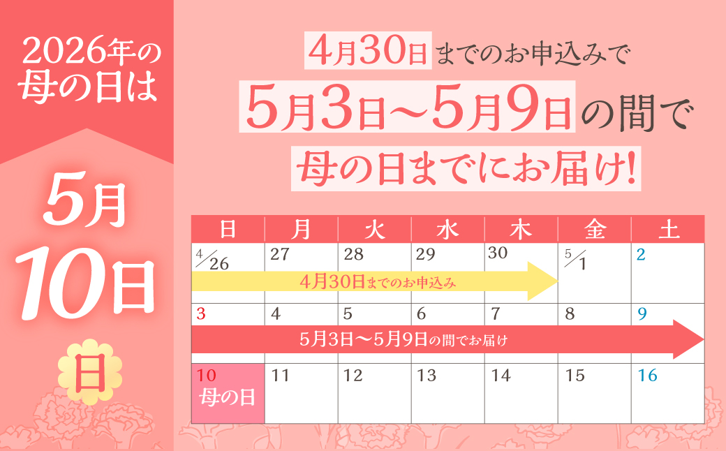 《母の日までにお届け》マンデビラ リオ 3色MIX フェンス仕立て 花 花 鉢植え 鉢 鉢花 花 観葉植物 植物 5号鉢 人気 おしゃれ かわいい 母の日 プレゼント 贈り物 贈答 ギフト 冬 フラワ