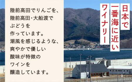 【大人の贅沢】 果汁100％りんごジュース 720ml×12本 りんごジュース 〈G7広島サミット おもてなし商品〉