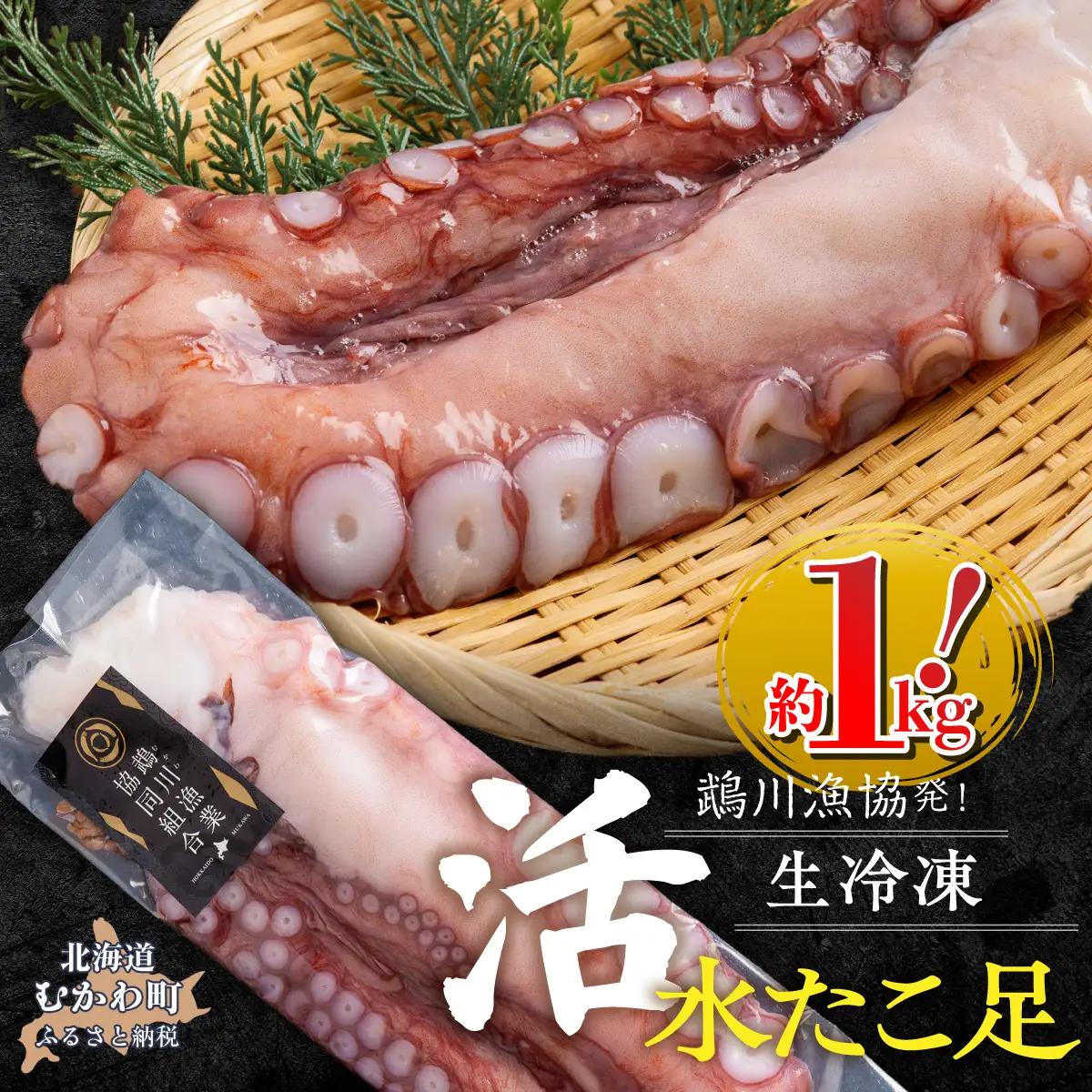 北海道 鵡川漁協発！活水生たこ足冷凍（約1kg） MKWV004