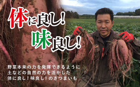 香取市産 さつまいも 紅はるか 約5kg 1本2~300g 焼き芋やスイートポテトにどうぞ  / 芋 サツマイモ さつま芋 べにはるか ベニハルカ 焼き芋 焼芋 焼いも お芋 おいも いも 生芋 IT