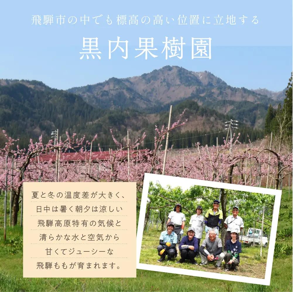 朝採れ 飛騨の桃 10玉(3kg) / 桃 もも モモ