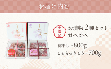 大満足　お漬物２種セット　梅ぼし　しそらっきょう　食べ比べ【02104】