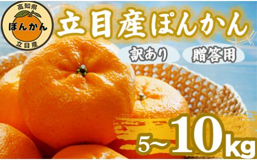 【 早期予約受付開始 】 立目産 ポンカン 10 kg 贈答用 2026年1月 下旬より順次発送 2026年 収穫分 家庭用 みかん 高知 須崎 KHN004