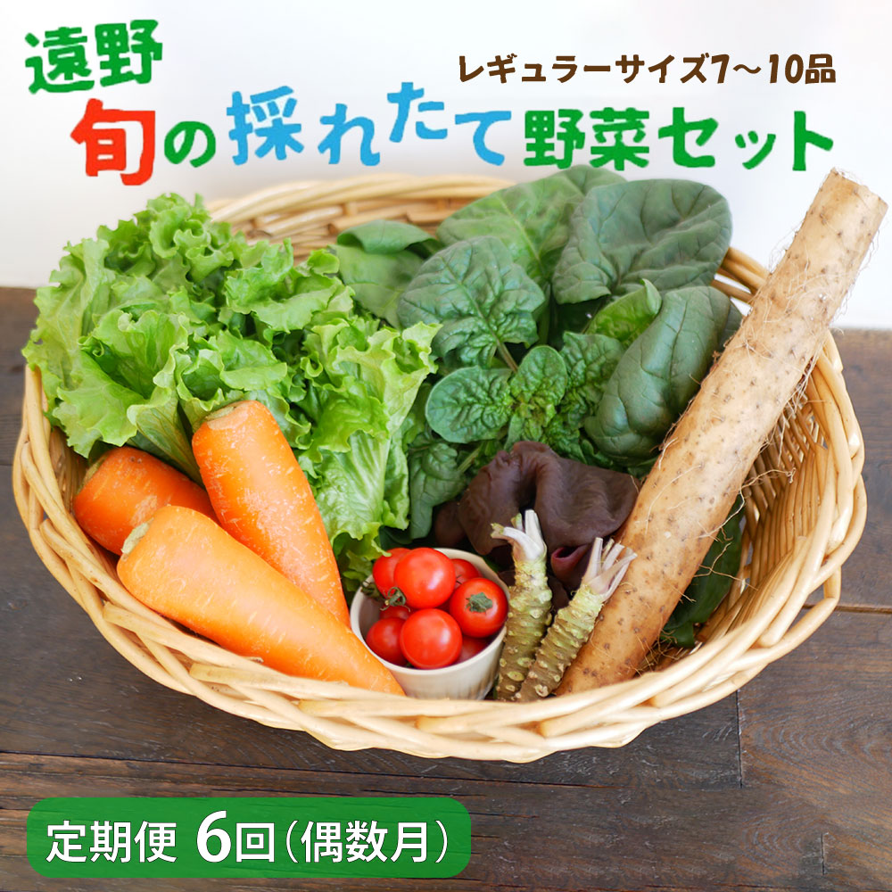 【 偶数月 6回 定期便 】 旬の採れたて 野菜 の詰め合わせ セット （7～10品）レギュラーサイズ 【 こんたでぃーの遠野 】