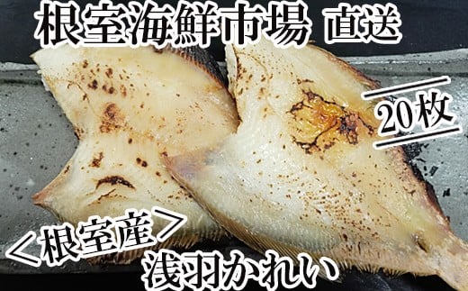 A-14063【年内配送可】  【北海道根室産】一夜干し浅羽かれい20枚