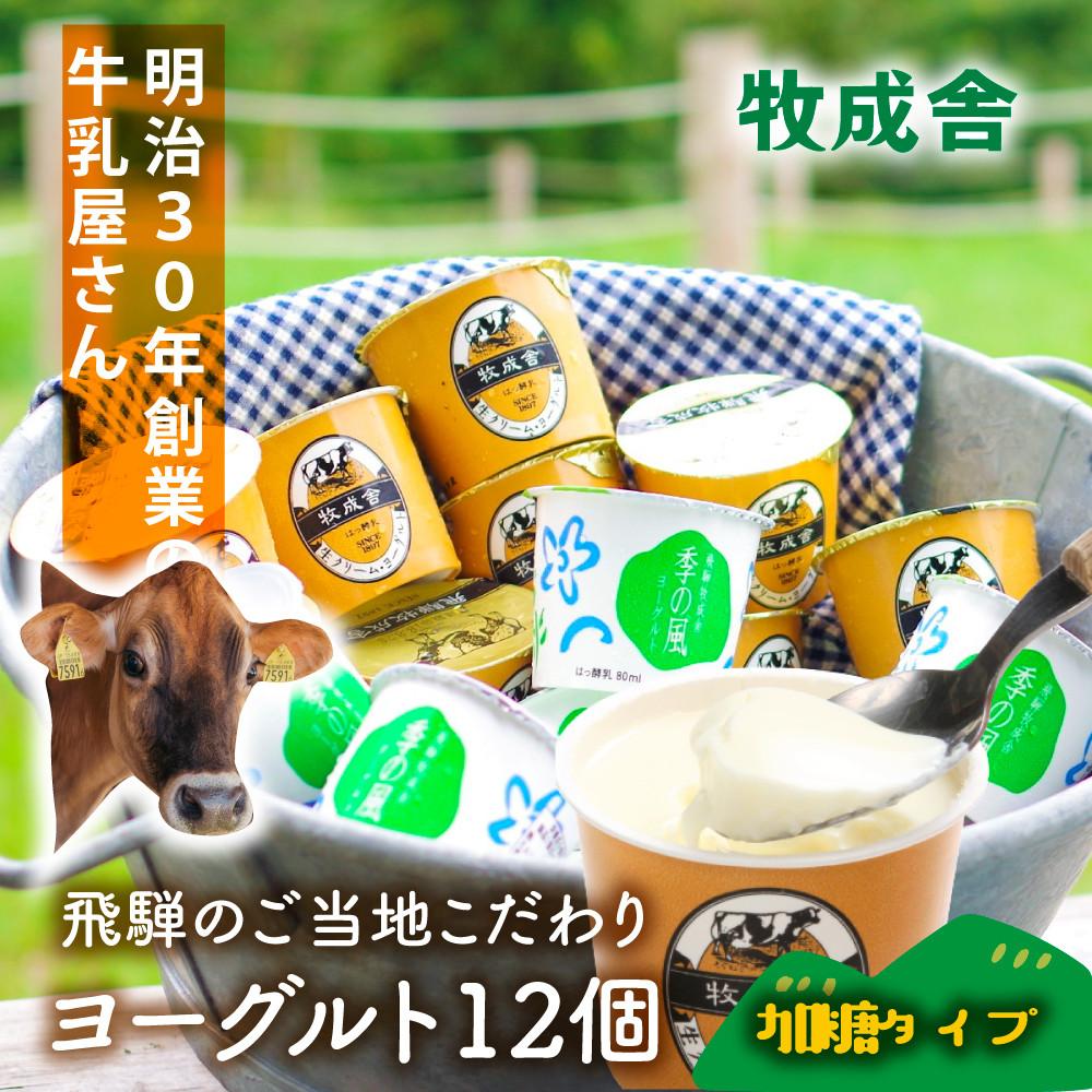 【ふるさと納税】＜牧成舎＞飛騨の牛乳屋さんが作った こだわりの ご当地カップヨーグルト 12個（加糖タイプ）| ヨーグルト おいしい 濃厚 さっぱり デザート ご当地 飛騨高山 (有)牧成舎 DF037