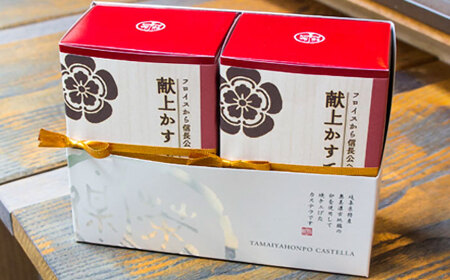 登り鮎 10個 献上かすていら 2本 詰合せ 和菓子 カステラ 岐阜 岐阜市/玉井屋本舗[ANAH004]