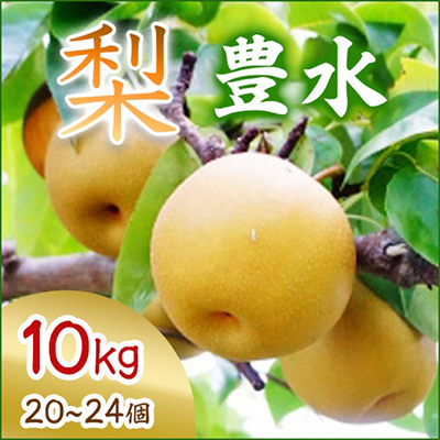 
            ＜2025年9月より順次発送＞豊水 10kg 20～24個(県内共通返礼品:石岡市産) (BR034)
          