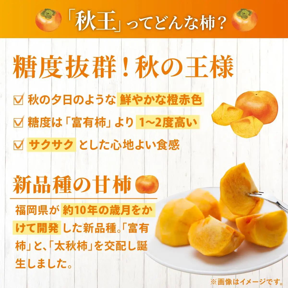 福岡より直送！種がほとんどない新ブランド 柿 秋王 約1.5kg 化粧箱入（2026年10月以降発送）