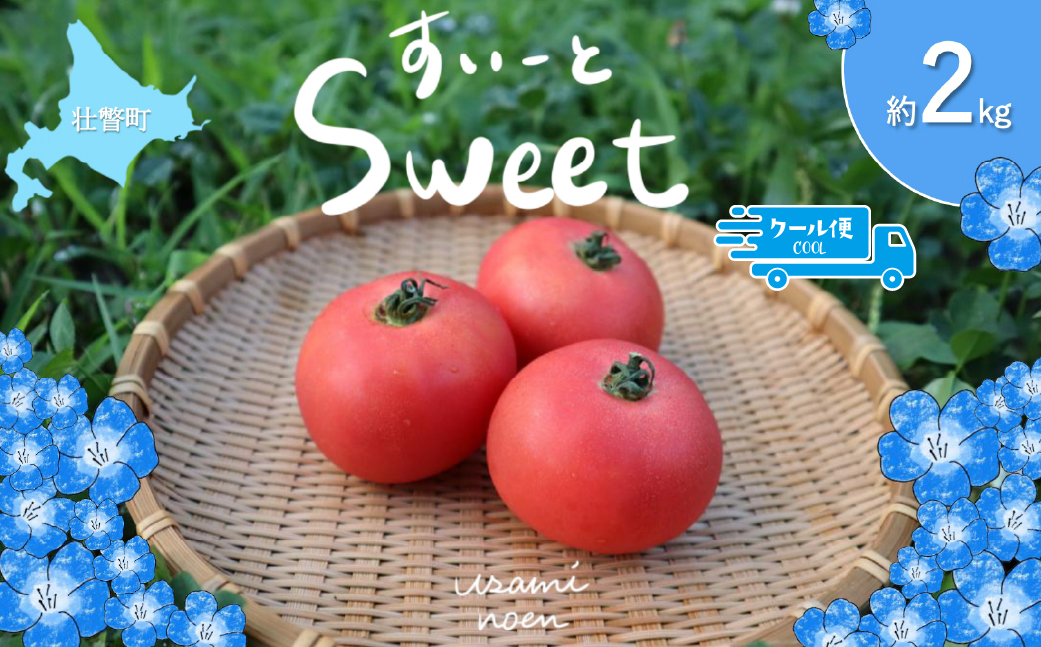 【2026年予約】極旨トマトクール便 北海道壮瞥町産 スイート2kg 中玉トマト SBTAJ018