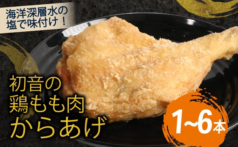 
            室戸の恵み！海洋深層水の塩で味付け！初音の鶏もも肉からあげ 唐揚げ しおからあげ 塩からあげ 肉料理 簡単調理 クリスマス Xmas チキン
          