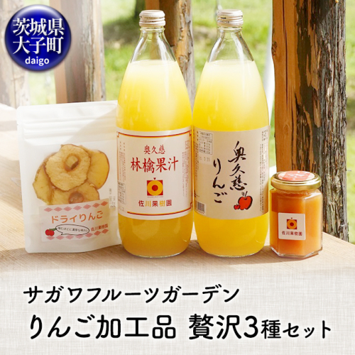 サガワフルーツガーデン りんご加工品 贅沢3種セット【りんごジュース2本、ドライりんご1袋、りんごバター150g】(CC001)