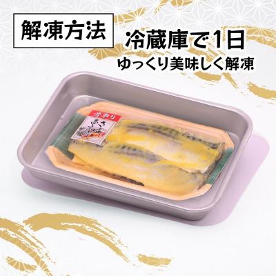 ふるさと納税 焼津市 訳あり!!お楽しみ!バラエティ漬魚10パックセット(a10-1010) |  | 01