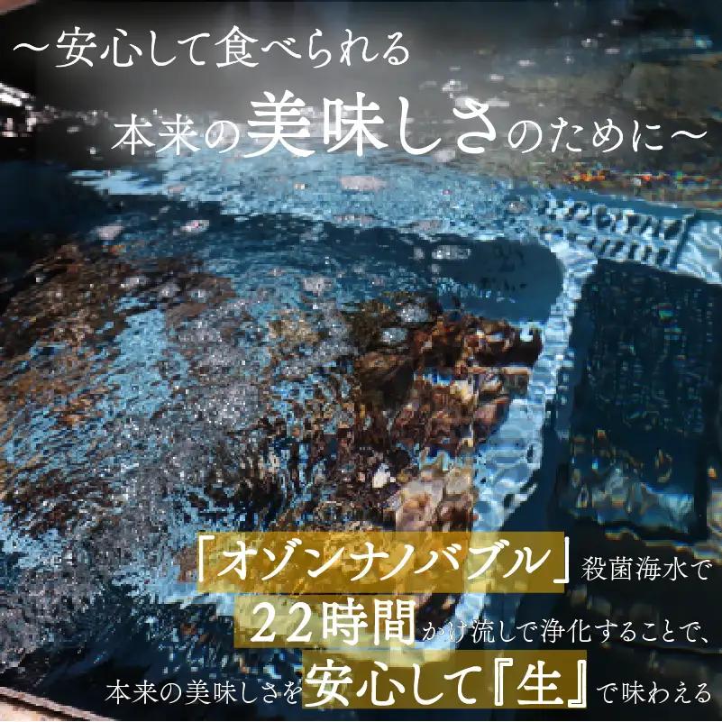 殻付き牡蠣 生食可10kg 南三陸 宮城 女川 岩沼市