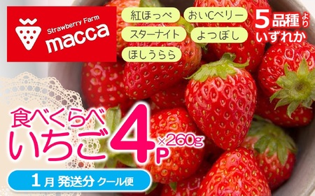 「ひょうご推奨ブランド」認証「西脇市産いちご４種セット」（1箱４パック）～いちご畑macca～（11-47） 令和８年１月上旬配送分