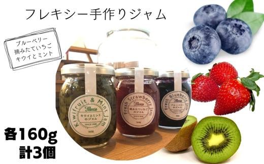 フレキシー手作りジャム 3種セット（いちご・ブルーベリー・キウイフルーツ）／各160g 計3個 計480g