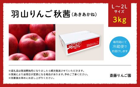 りんご《2026年10月下旬以降順次発送》羽山のりんご 秋茜L～2Lサイズ3kg りんご リンゴ 果物 フルーツ【斎藤りんご園】