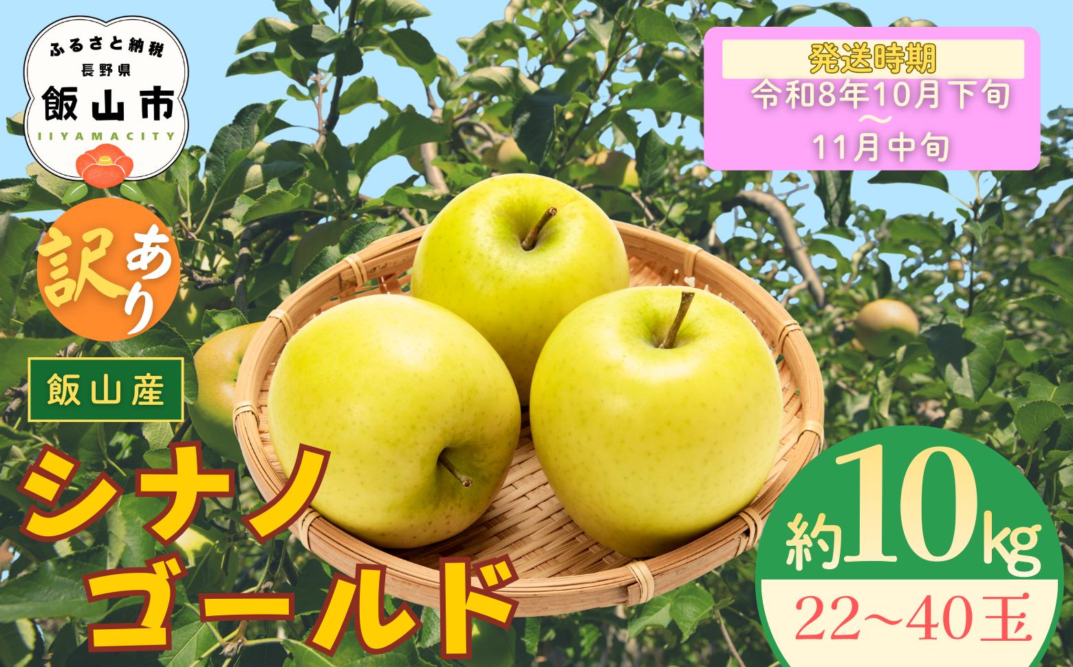 
            【先行予約丨2026年10月下旬より順次発送】訳あり シナノゴールド【約10kg(22〜40玉)】(At-025)丨長野県 飯山市 おすすめ ランキング おいしい 高評価 大人気 先取り 産地直送 りんご 訳あり 規格外
          