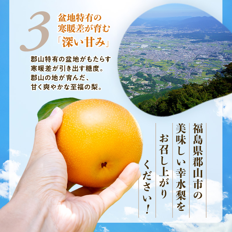 みずみずしく糖度が高い梨 福島県郡山市産 幸水 約1.2kg（3～5玉） 梨 なし ナシ 果物 くだもの フルーツ 福島県 郡山市