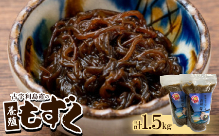 古宇利島産の養殖もずく1.5kg(500g×3P)【配送不可地域：離島】【1483941】