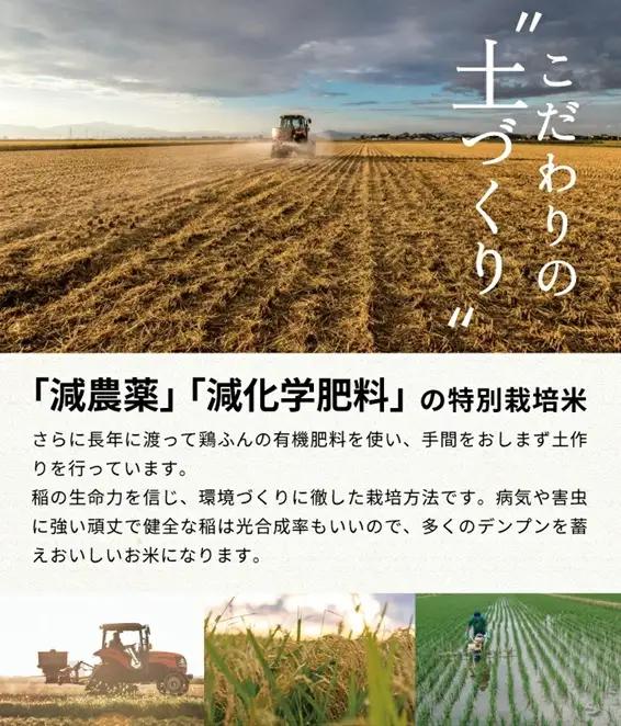 SB1013　11月中旬配送／令和8年産【玄米】　特別栽培米『はえぬき』 10kg(5kg×2袋)［減農薬・減化学肥料］ MA
