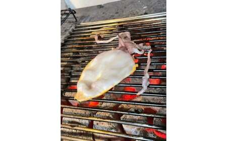 ノドグロ・白イカ入り干物セット 一夜干し（Cセット）【がじゅまる】