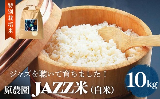 令和7年度産 原農園 JAZZ米 (白米)  10kg ヒノヒカリ JAZZ 有機栽培 特別栽培米 堆肥 光合成細菌 有効微生物 アートテン農法 抗酸化農法 有効微生物農法 きりかぶ山 地力 白米 環境 地域特産 自然栽培 完熟堆肥 健康