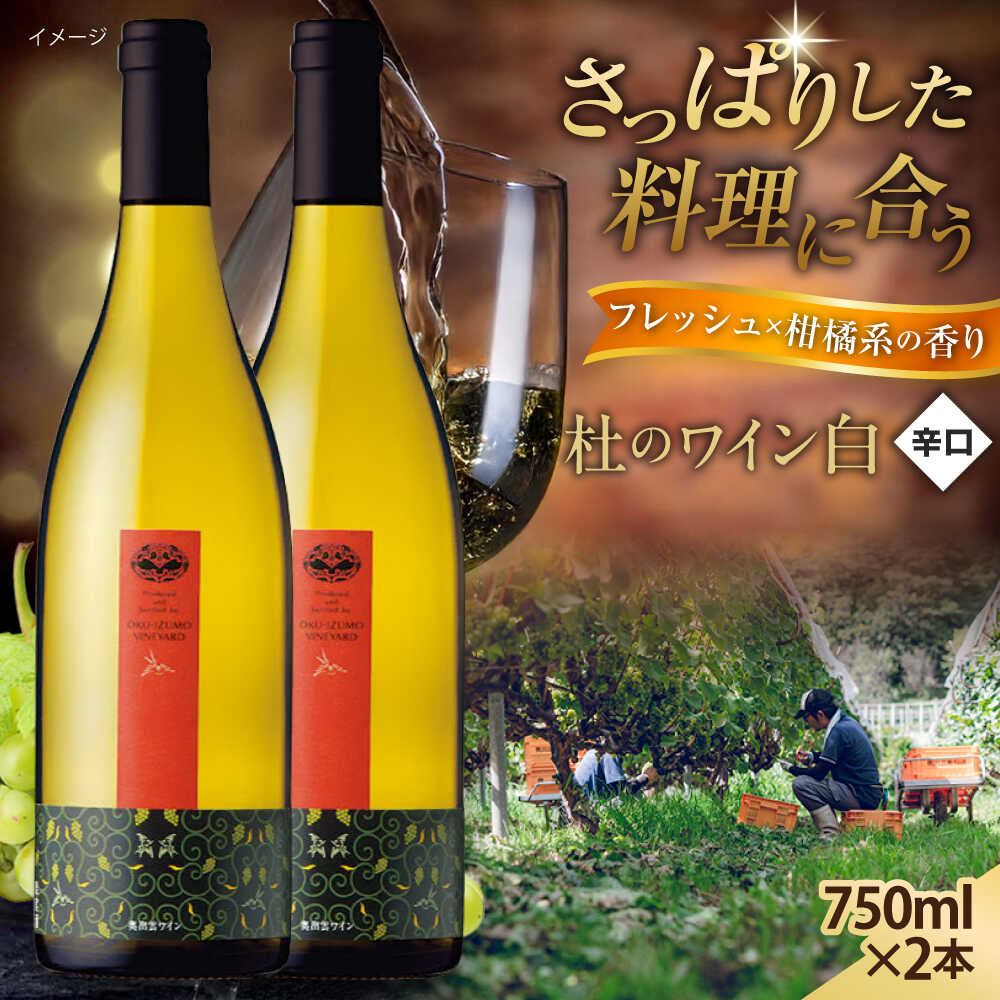 【ふるさと納税】 ワイン 奥出雲葡萄園 杜のワイン白　2本セット 国産 ワイン セット 白ワイン 飲み比べ 日本ワイン 国産ワイン お酒 酒 アルコール 家飲み 宅飲み 晩酌 贈り物 お祝い 人気 おすすめ ギフト プレゼント 島根県雲南市/有限会社奥出雲葡萄園[AICS053]