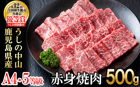 うしの中山 赤身焼肉用500g×1P 黒毛和牛 和牛 肉 牛肉 国産 九州産 鹿児島県産 焼肉 赤身 日本一 b0-201