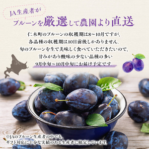 プルーン JA新おたる 北海道産 プルーン【1.6kg(400g×4)】