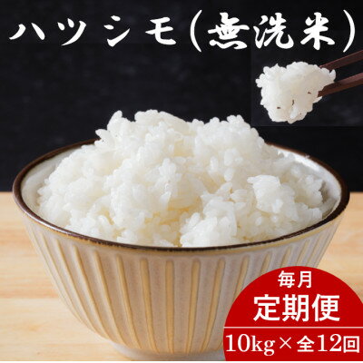 【ふるさと納税】【毎月定期便】岐阜県産ハツシモ(無洗米) 10kg全12回【配送不可地域：離島】【4076358】