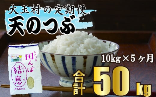 【 令和5年産 】【 おいしいお米コンクール 受賞米 あだたらドリームアグリ（株）】 天のつぶ ５０ｋｇ （ 毎月 １０ｋｇ × 5回 ）【07527】 福島県 大玉村 てんのつぶ テンノツブ 米 定期便