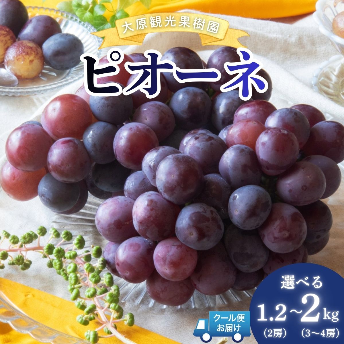 【ふるさと納税】＜選べる容量＞【2026年先行予約】［大原観光果樹園］ピオーネ2房（約1.2kg）　or　3～4房（約2kg）