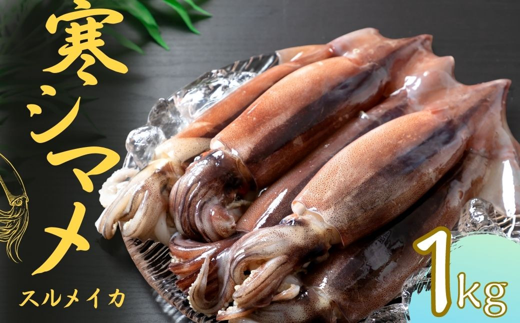 
            【朝どれスルメイカ丸ごと5本】寒シマメ スルメイカ 1kg 冷凍 刺身 個包装 捌き方説明書付き（ いか 烏賊 イカ スルメ 母の日 父の日）
          