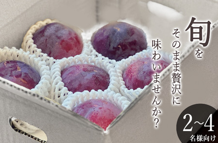 ＜2026年発送先行予約＞南アルプス市産 貴陽 約1.5kg（5～7個入り） ALPAL015