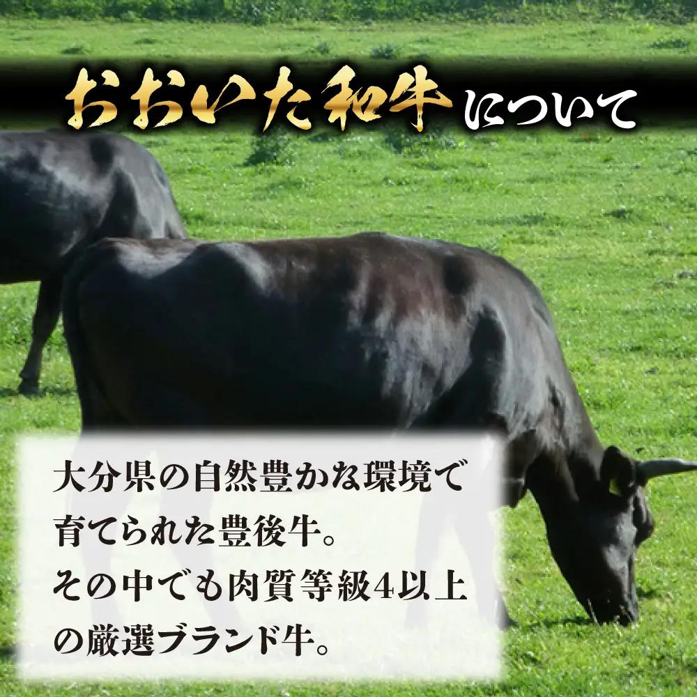 おおいた和牛 ヒレステーキ 150g×2 和牛 ヒレステーキ 日田市 [ARFE006]