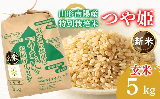 
                  【令和8年産 新米 先行予約】 【金賞受賞農家】 特別栽培米 つや姫 (玄米) 5kg 《令和8年9月下旬～発送》 『あおきライスファーム』 山形南陽産 米 ご飯 農家直送 山形県 南陽市 [2627-R8]
                