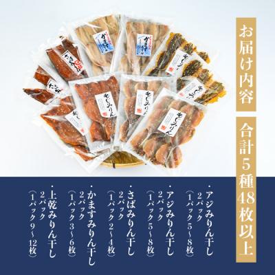 ふるさと納税 佐伯市 四代続く秘伝のたれ みりん干しセット (合計5種・48枚以上) |  | 01