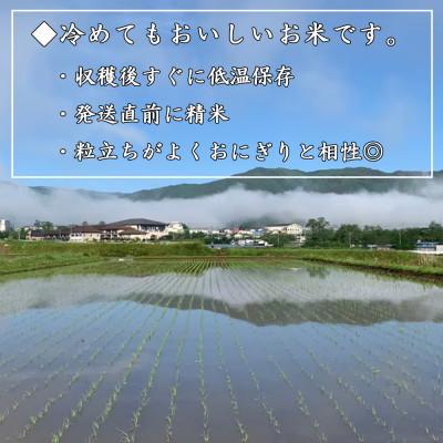 ふるさと納税 長和町 【先行予約】令和8年産新米こしひかり5キロ(kg)　信州産コシヒカリ　精白米　おにぎりにおすすめ |  | 01