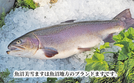 魚沼美雪ますの熟成スモークサーモン(フィレー１枚) 鱒 加工食品 魚貝類 さけ サケ 鮭 