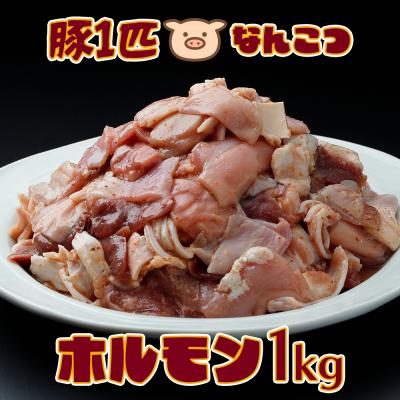 ふるさと納税 大崎市 【希少部位入り】 豚一匹 なんこつホルモン 1kg 塩だれ仕込み コリコリ 新鮮 肉 豚肉 焼肉