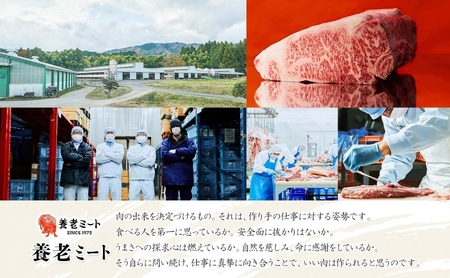 飛騨牛 ロース・肩ロース スライス すき焼き 飛騨牛【720g(360g×2)】【冷凍】