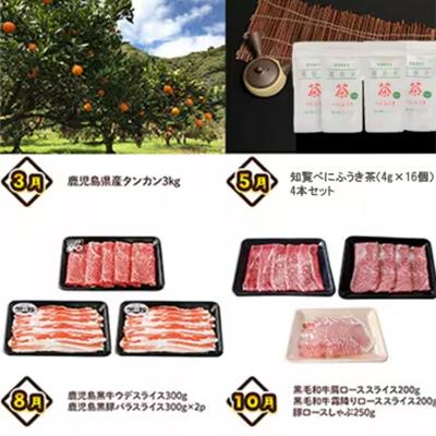 ふるさと納税 _南九州市 【発送月固定定期便】南九州トクトク定期便ライト全4回 |  | 01