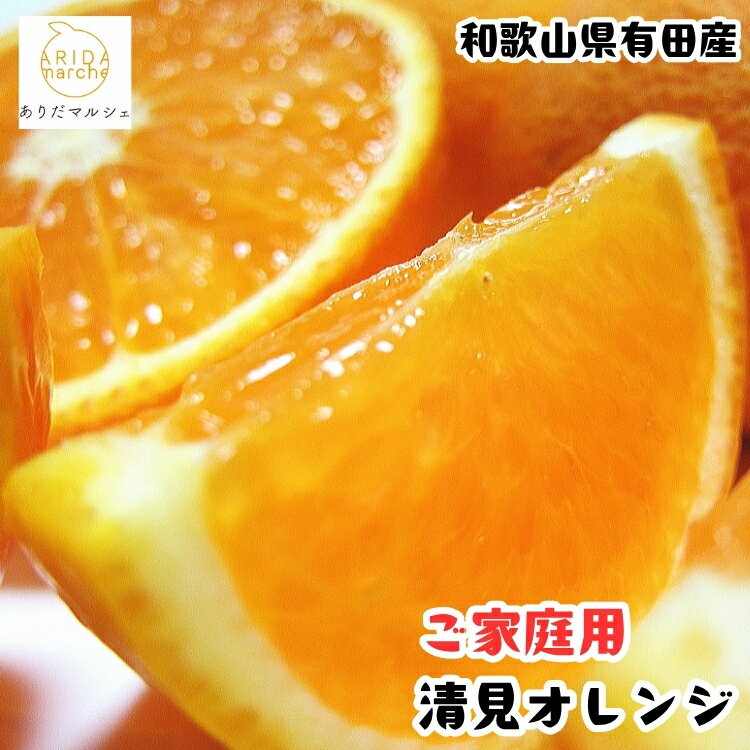 【ふるさと納税】 産地直送 有田 育ちの ご家庭用 完熟 清見 オレンジ / みかん 和歌山 有田 オレンジ フルーツ 果物 甘い ※2027年2月下旬～5月上旬に順次発送予定 ※北海道・沖縄・その他離島地域は発送不可 //dekopon