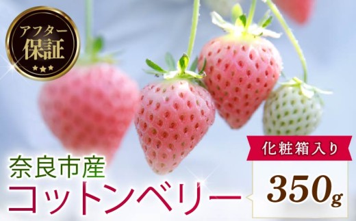 【数量限定】 2027年 3~4月発送 苺 いちご コットンベリー 約350g 化粧箱 冷蔵 小分け 果物 スイーツ デザート くだもの フルーツ ベリー ふるさと納税 いちご 大粒 採れたて 完熟 おやつ 産地直送 先行予約 数量限定 季節限定 ブランド イチゴ ギフト お祝い 中村農園 奈良県 奈良市