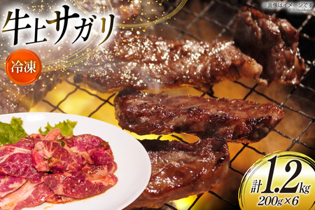 サガリ 牛 上サガリ 200g 6パック 計1.2kg [焼肉銀座園 北海道 砂川市 12260732-c]