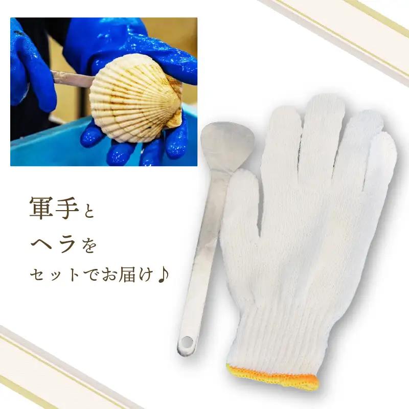 活ホタテ 10枚 (11cm~12cm)